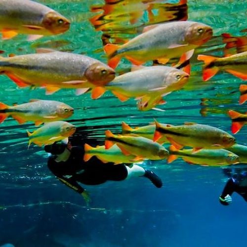 Recanto Ecológico Rio da Prata