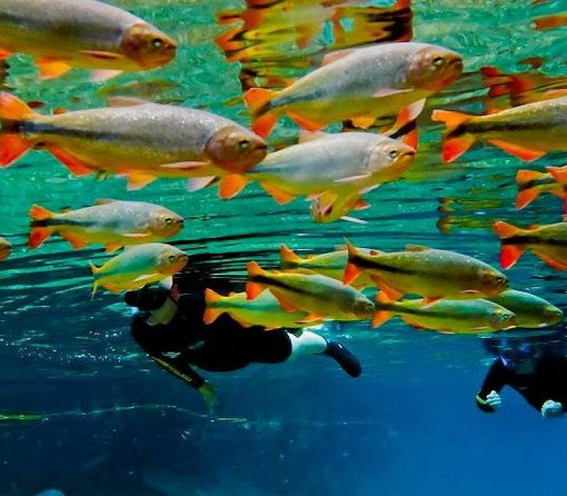 Recanto Ecológico Rio da Prata