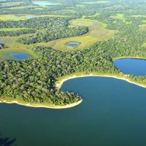 (C)Lucas Leuzinger  www.Pantanal.biz